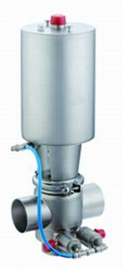 Mix-Proof Valve