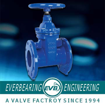 Gate Valve (GTV-065-B)