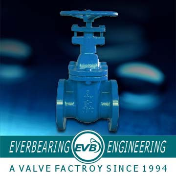 Gate Valve (GTV-053-B)