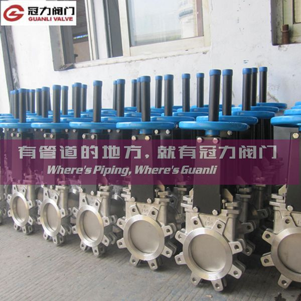 Stainless Steel ANSI Knife Gate Valve
