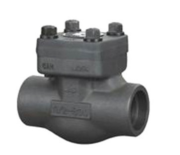 Forged Check Valve