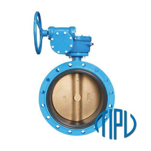 Concentric Butterfly Valve