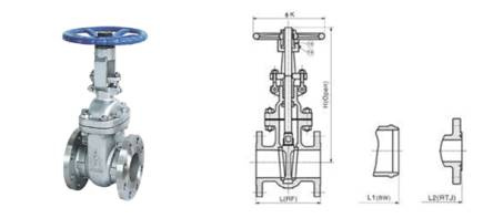 Class 150~1500 Cast Steel Gate Valve