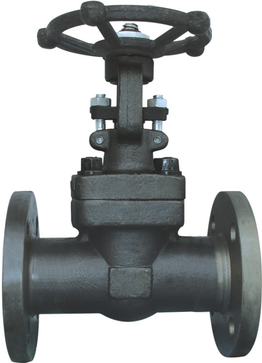 Forged Steel Flanged Gate Valve