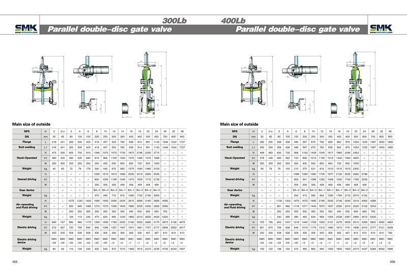 Parallel Double-Disc Gate Valve (300Lb~400Lb)