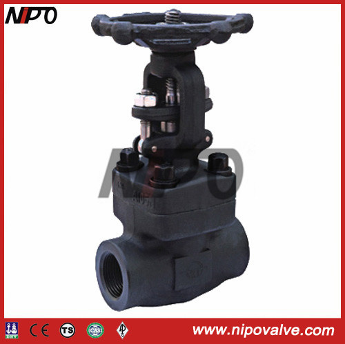 Sw / NPT Forged Steel Gate Valve