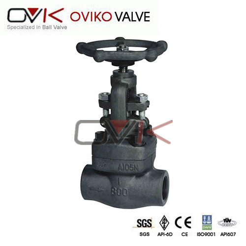 API Forged Stainless Steel NPT Globe Valve