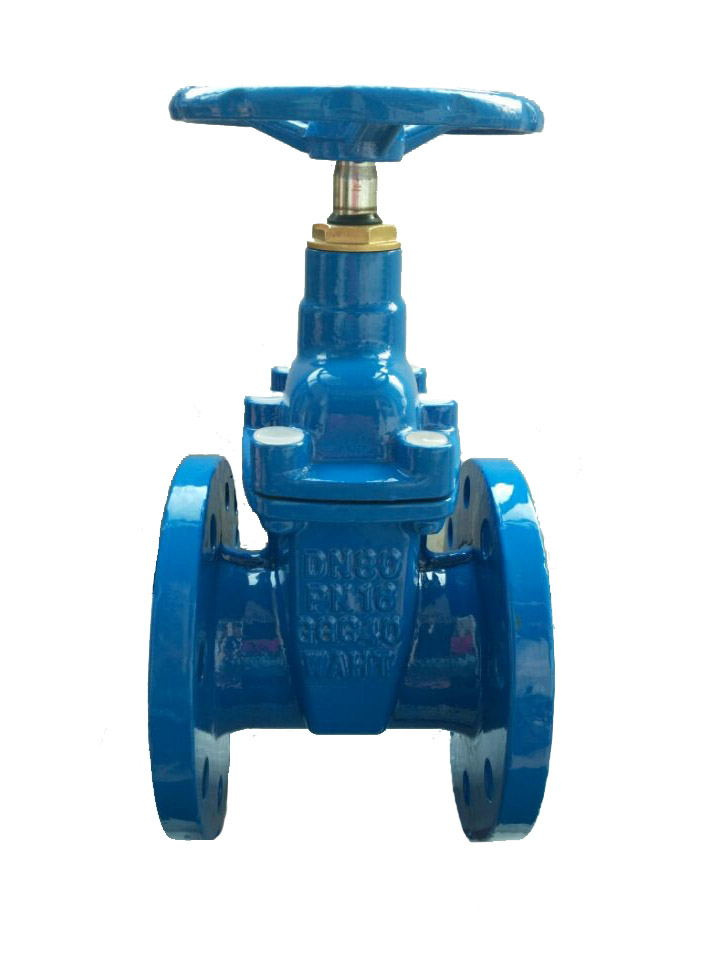Gate Valve