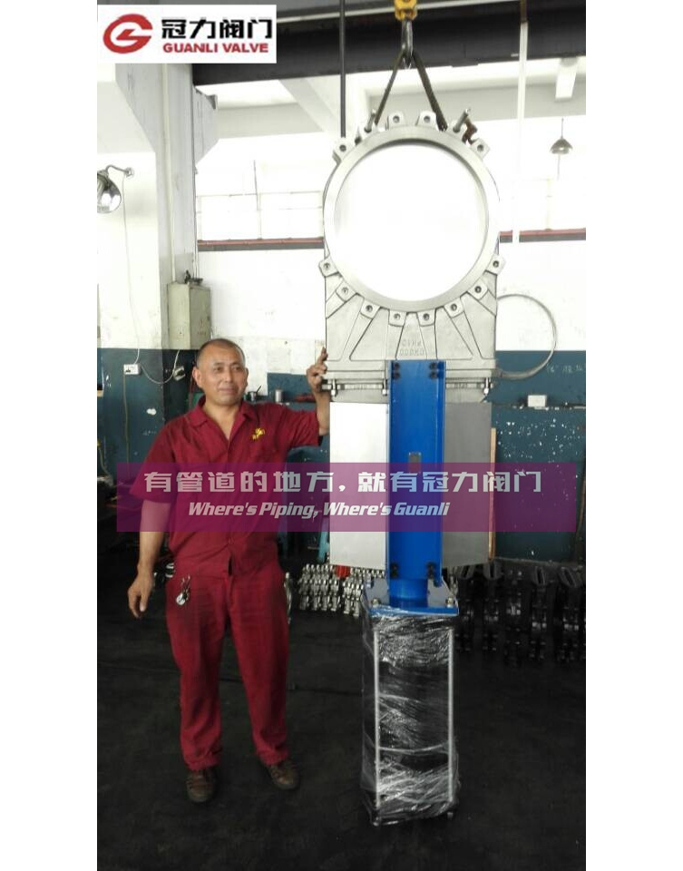 DIN ANSI JIS Stainless Steel Pneumatic Knife Gate Valve