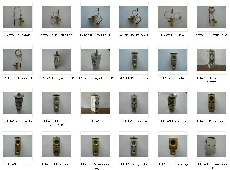 Auto Air Conditioning Expansion Valve for All Car Style