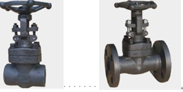 Forged Gate Valve