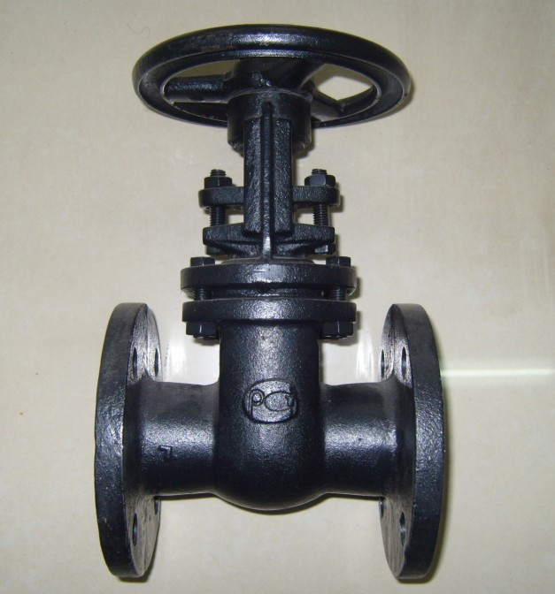 GOST Cast Iron Parallel Disc Gate Valve