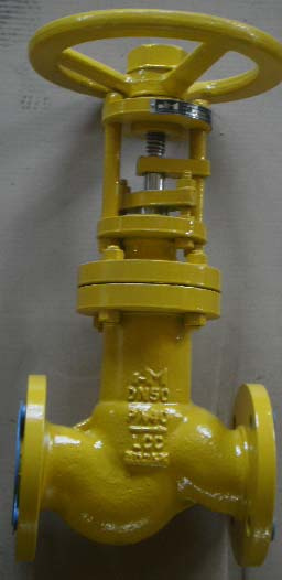 Globe Valve