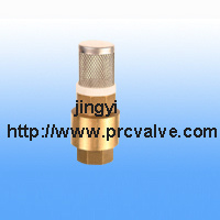 Check Valve (JY5002)