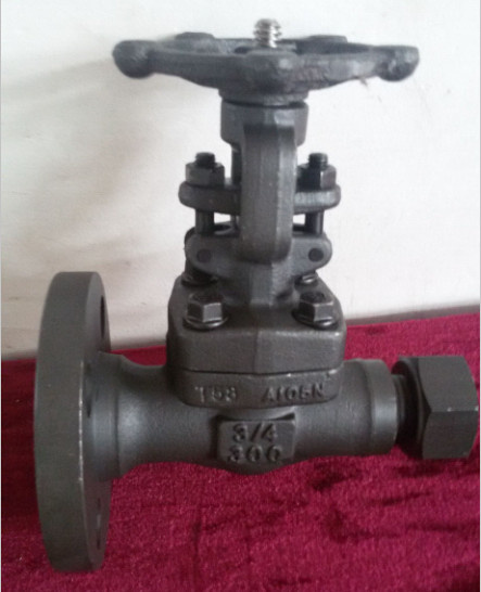 Emptying Guide Deluge Forged Steel Valve (DTV-Z006)