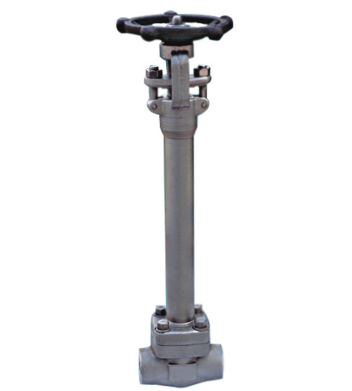 Cryogenic globe valve (J61Y-800R)