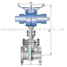 Gate Valve (HEG 1007)