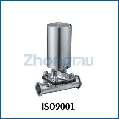 Pneumatic Diaphragm Valve