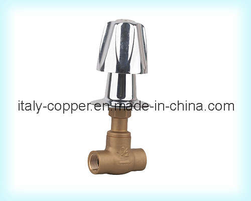 Brass Globe Valve with Plastic Handle (AV4006)