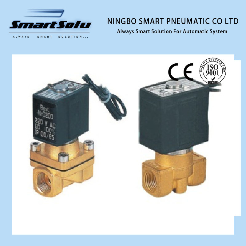 Smart High Quality Vx Series Solenoid Valve