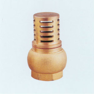 Brass Foot Valve (GD2901)