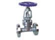 Cast Steel Globe Valve, Globe Valve,