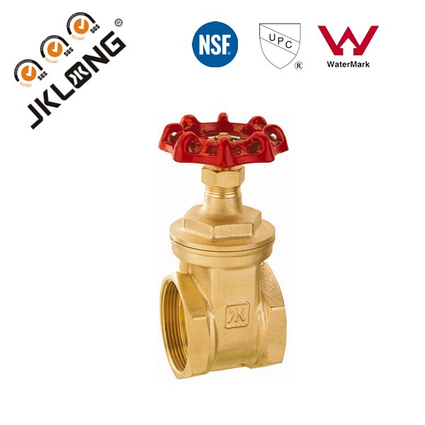 Pn16 Brass Gate Valve SGS Valve/ISO 228/1 Dn100