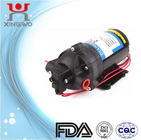 AC Electric Mirco Diaphragm Pump (DP002D1)