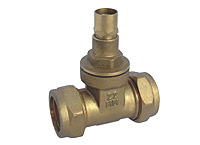 Gate Valves (DC-B1130)