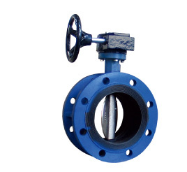 Flanged Center Line Butterfly Valve (D341X-10)