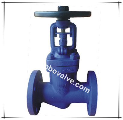 DIN Standard RF Bellows Sealing Globe Valve (WJ41H)