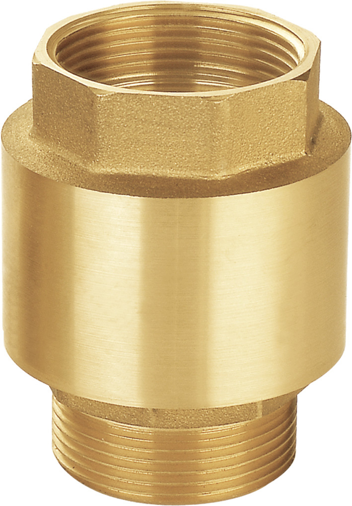 Brass Spring Strainer Drain Check Valve 1/2 