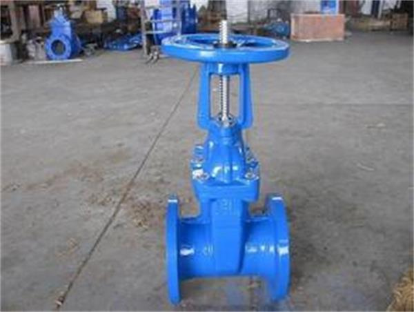 API Standard Rising Stem Gate Valve