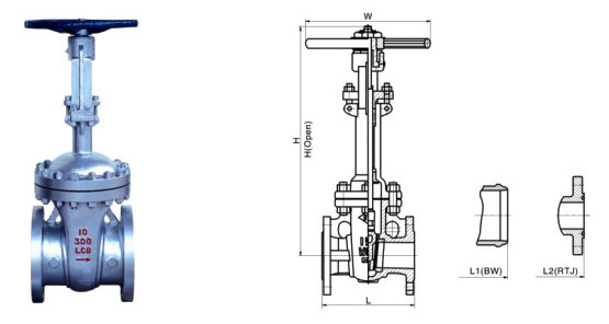 Cryogenic Gate Valve