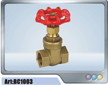 Gate Valve