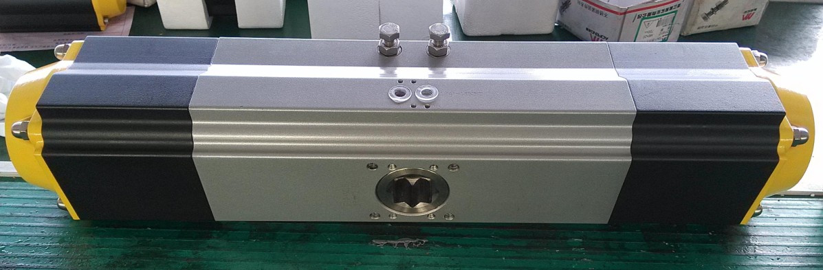 Rack&Pinion 180 Degree Actuator of All Torque (DFS100-DFS180)