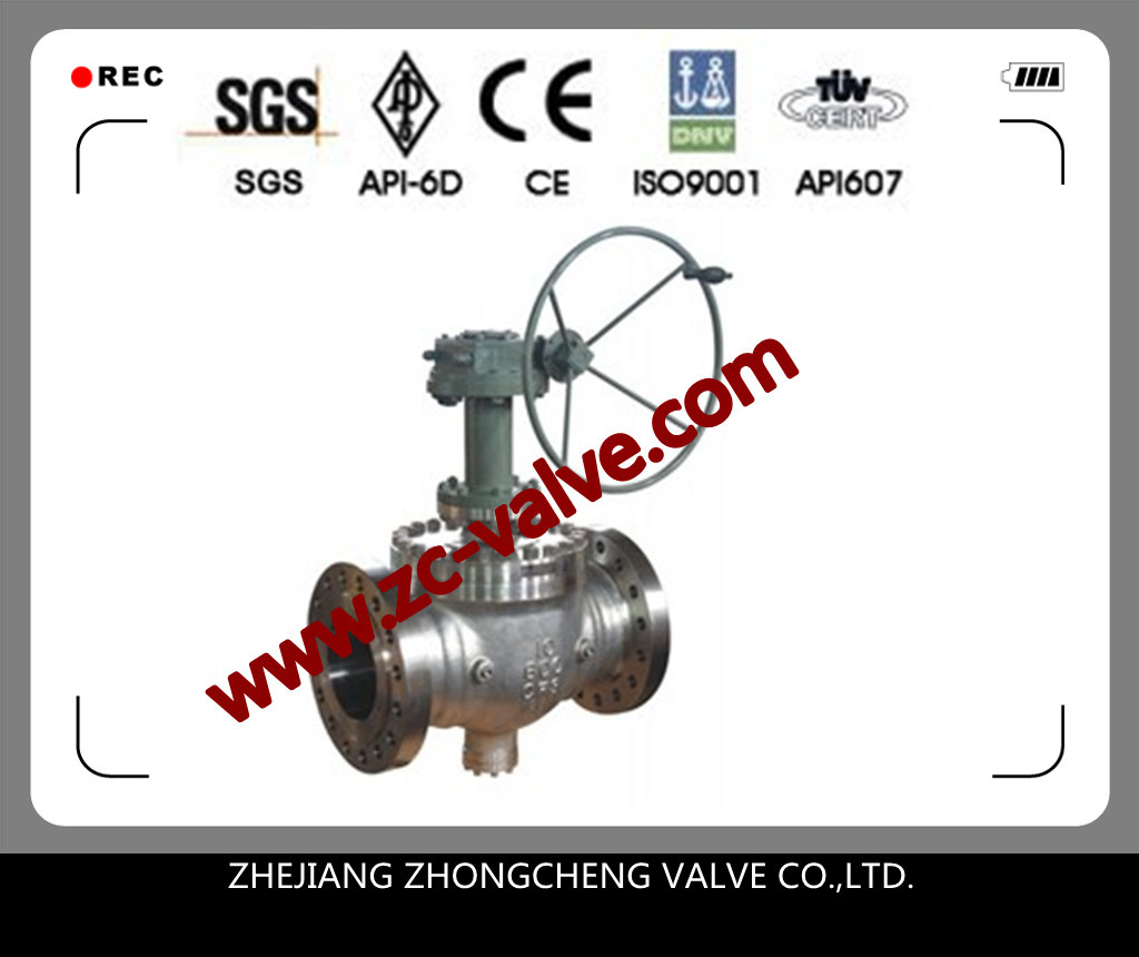 Top Entry Ball Valve