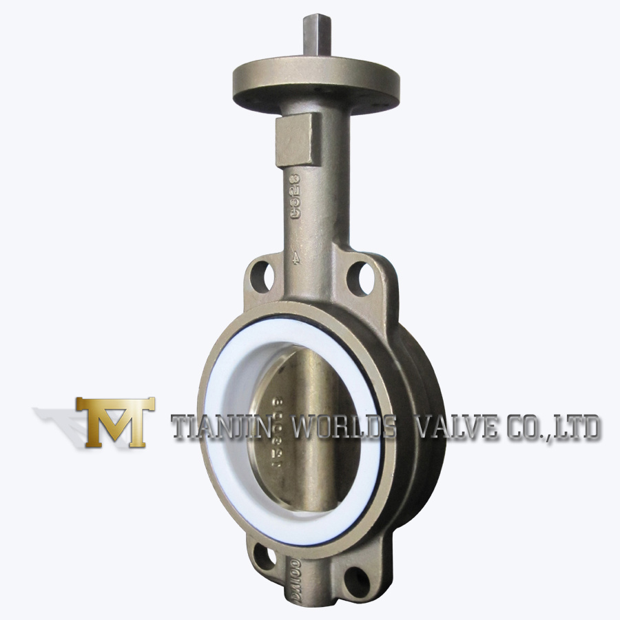 Stainless Steel Wafer Butterfly Valve (CBF01-TA01)