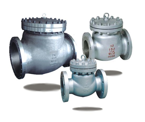 Swing Check Valve