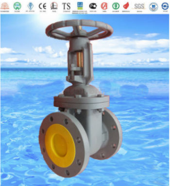 ANSI Flange Cast Iron Globe Valve with ISO9001 and API 6D