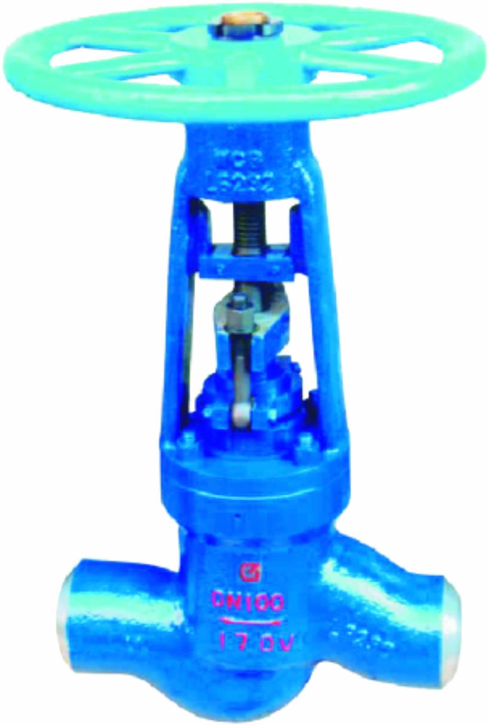 Globe Valve (17)