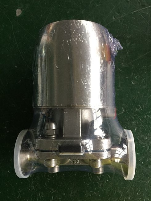 Sanitary Pneumatic Diaphragm Valve Dn20 Ss316L