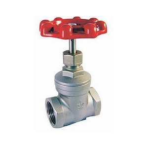 Stainless Steel Threaded End Gate Valve