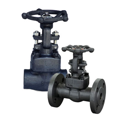 Forged Steel Wedge Gate Valve