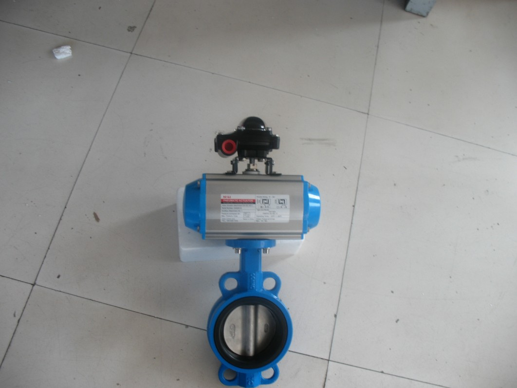 Pneumatic Butterfly Valve