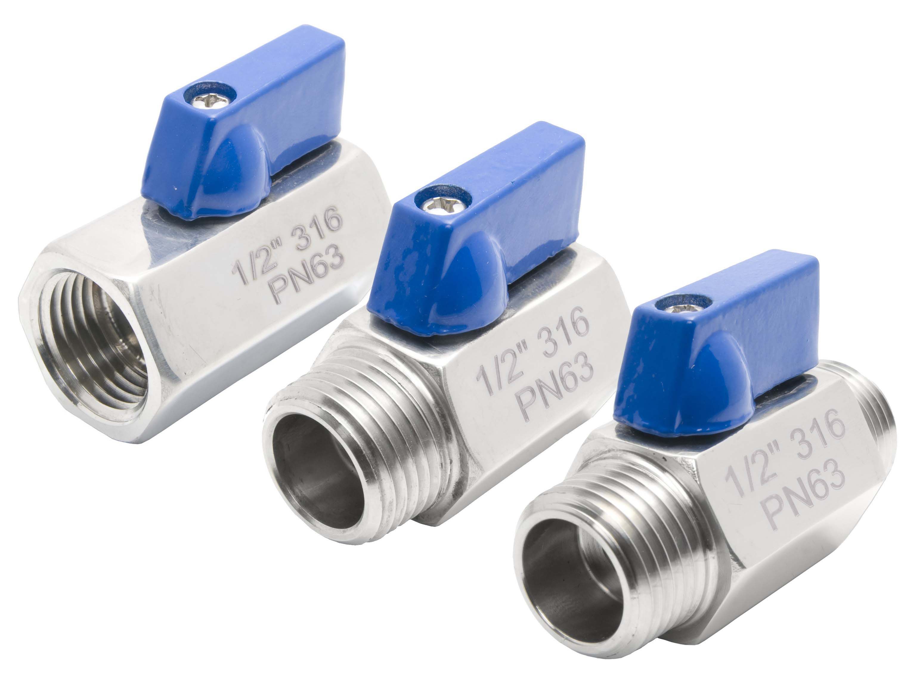 Stainless Steel Bsp NPT Mini Ball Valve