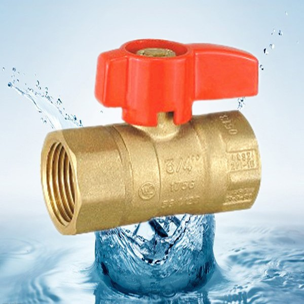 Gas Brass Valve (GBV)