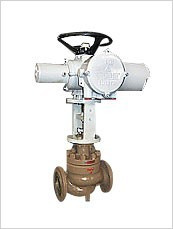 Edcb Electric Pressure Balanced Cage Control Valve