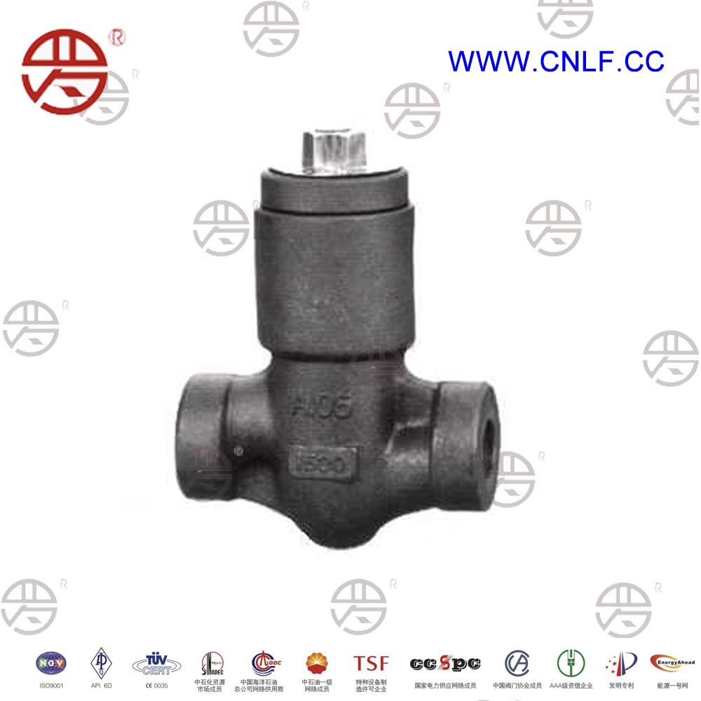 Forged Steel Pressure Seal Bonnet Check Valve