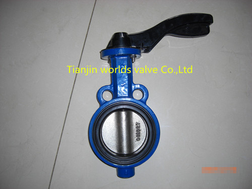 Bray Butterfly Valve (WDS)